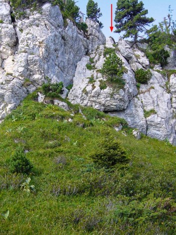 Dernier ressaut rocheux de la crête du Grand Manti