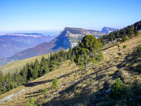 La sente du Grand Manti