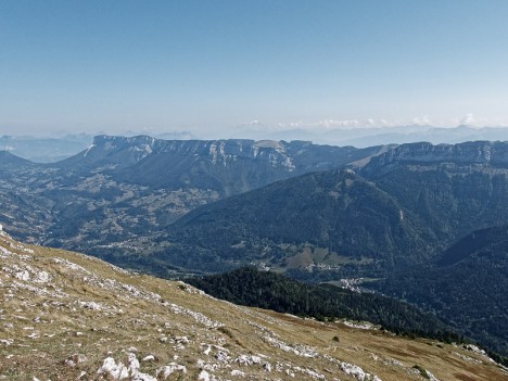 Face à la Chartreuse orientale