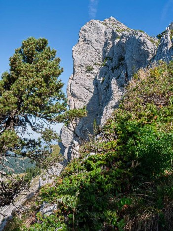 Par l'arête de la Suiffière