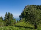 Prairie du Portail de Chorolant