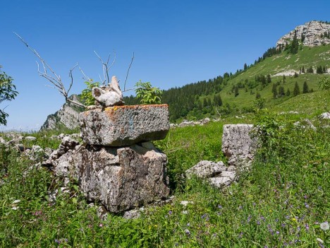 Ruine d'un habert des chartreux