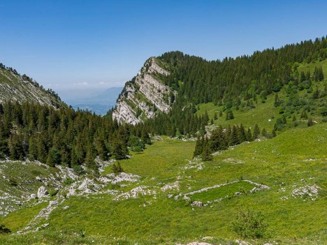 Ruine d'un habert sous le Col de la Charmille
