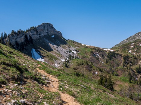 La Grande Vache domine le Col de la Sure