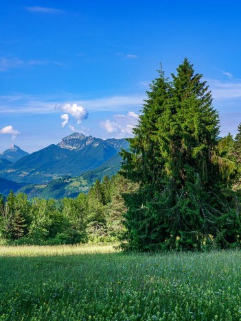 Chamechaude et le Grand Som