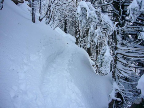 La montée au Mont Joigny