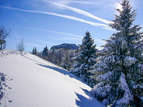 Sur la crête du Mont Joigny