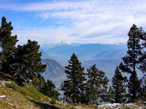 Est du plateau du Mont Granier