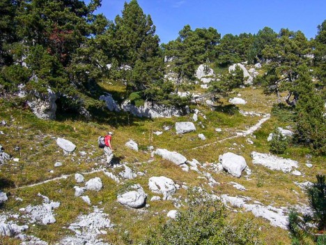 Plateau Est du Mont Granier