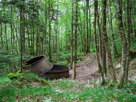 Four à charbon de bois, Lac Noir
