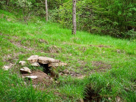 Source des charbonnier, Lac Noir