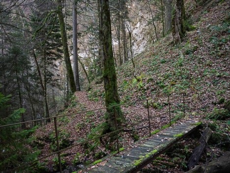 Passerelle sur le sentier des sangles de Malamille