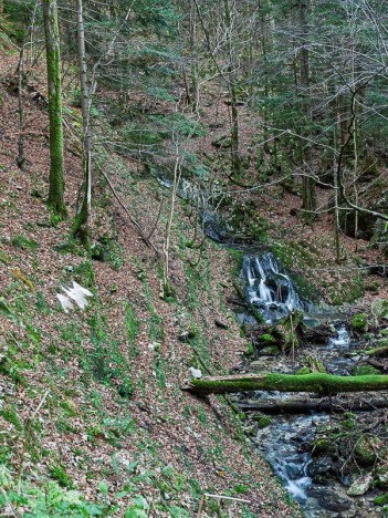 Le Ruisseau de Tenaison