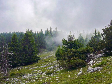 Par le plateau du Mont Outheran
