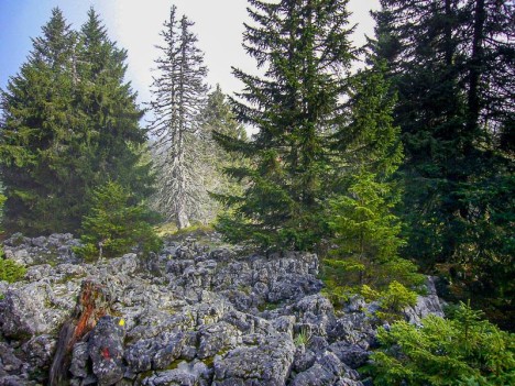 Traversée des lapiaz du plateau du Mont Outheran