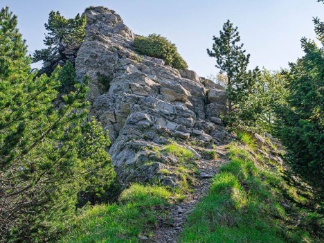 Ressaut de la crête du Mont Pellat