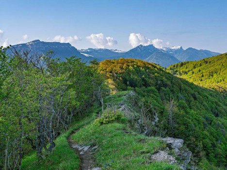 Sur la crête du Mont Pellat