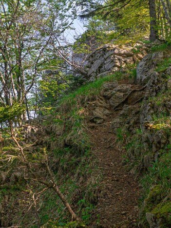Entre le Col des Fontanettes et le Mont Pellat