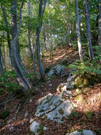 Sentier du Montfred, août 2022