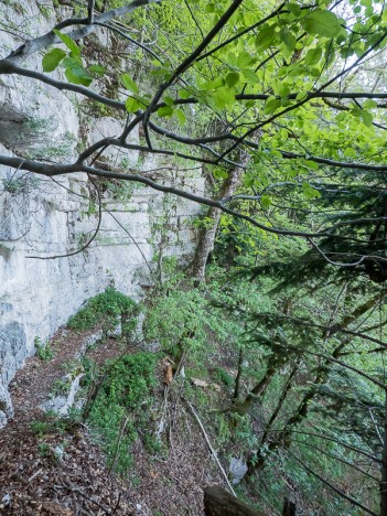 Sur le sentier du Pas de l'Aronde