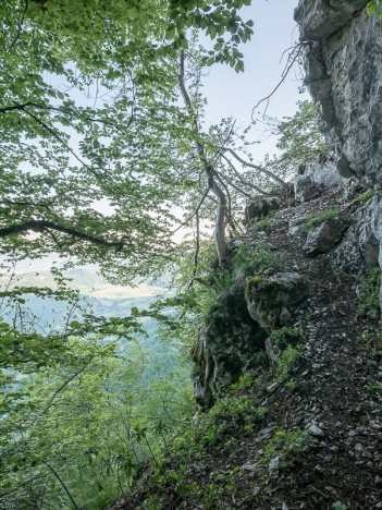 Sur le sentier du Pas de l'Aronde