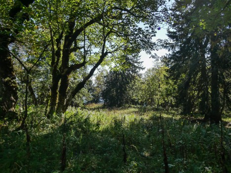 Sentier du Pas de la Biche