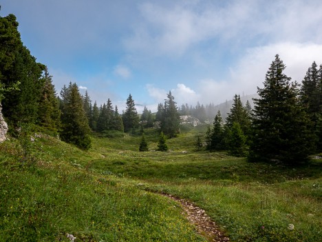 Sentier du Chalet de l'Alpe, août 2021