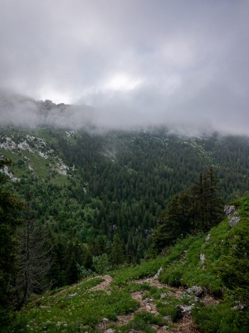 Sentier du Pas de l'Échelle, août 2021