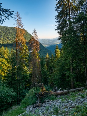 Sur le sentier du Passage des Agneaux, juil. 2022