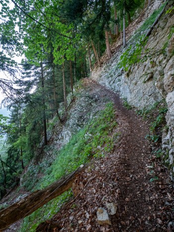 Passage en écharpe du sentier du Passage des Agneaux, juil. 2022