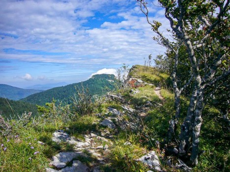 Le Corbeley vu des crêtes du Mont Pellat