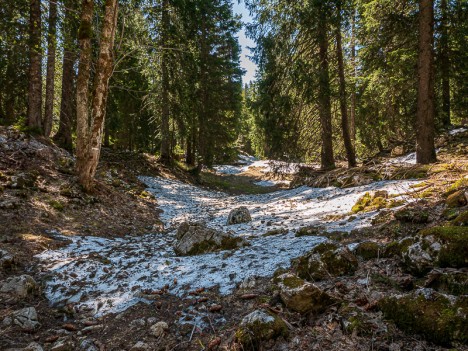 Chemin de la Petite Vache