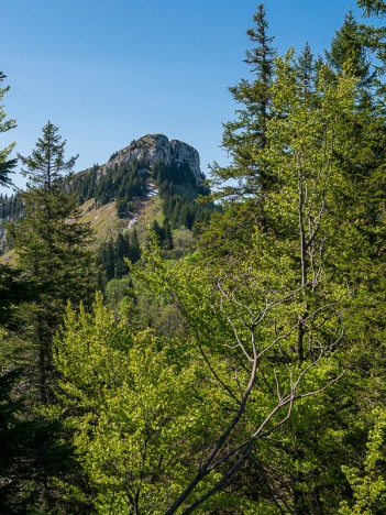 La Petite Vache 1735 m