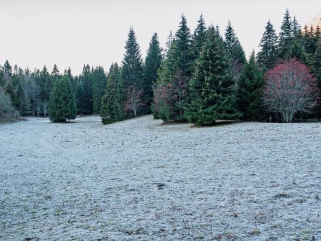 La prairie givrée de Girieux