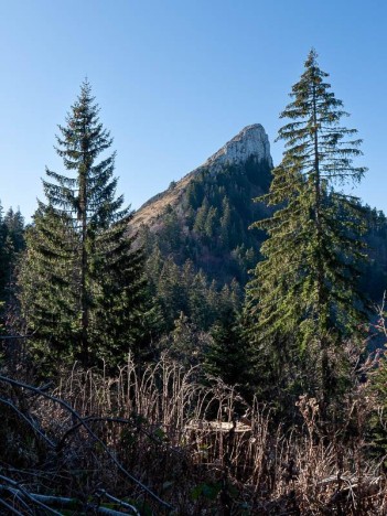 Vue Nord de la Pinéa