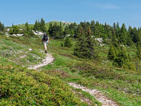 À travers le plateau sommital du Pinet