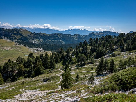 Descente en direction du Habert de Saint-Vincent, sept. 2020