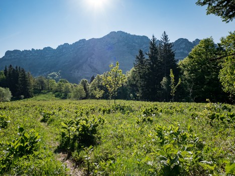 Le Rocher de Lorzier (versant Ouest)