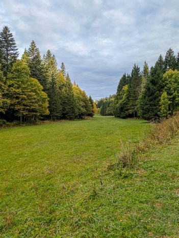 La clairière de la Riondette