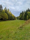 La clairière de la Riondette