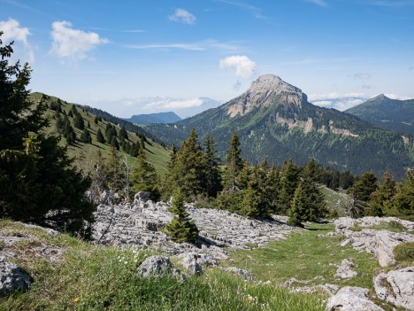 Lapiaz du Roc d'Arguille, Chamechaude