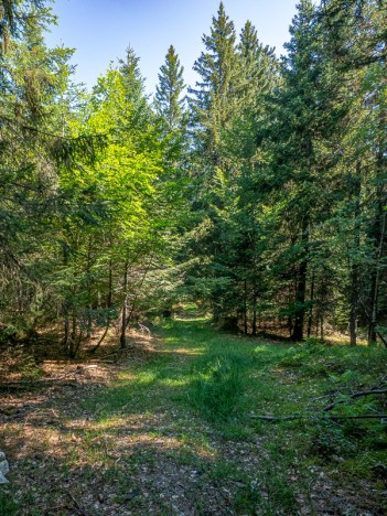 La piste herbeuse "en Gleisin", août 2022