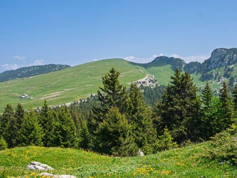 Habert de Saint-Vincent, Croix de l'Alpe