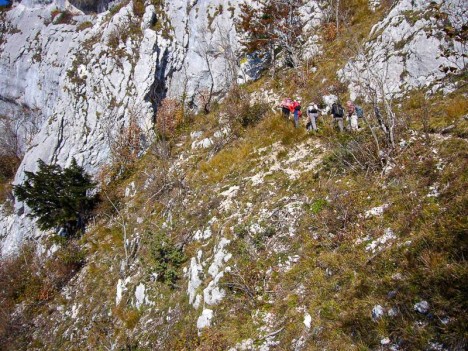 Couloir herbeux de l'ascension de la Roche Veyrand