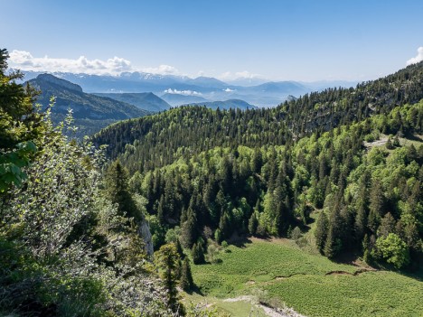 La combe herbeuse de Vararey