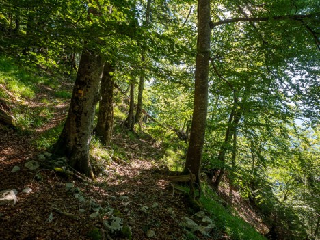 Bifurcation Sentier des Agneaux / Reconnaissance, juil. 2022