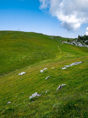 Col et Croix de l'Alpe, juin 2020