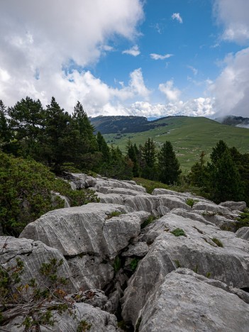 Le lapiaz des Rochers de Fouda Blanc, août 2021