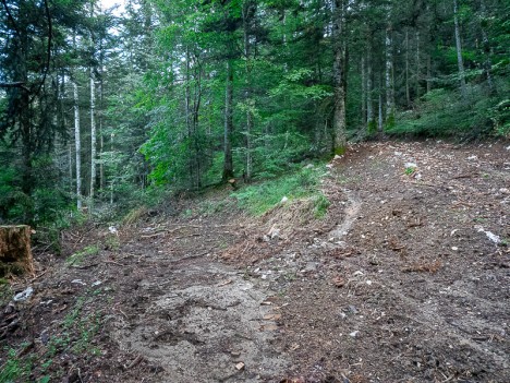 À droite, la piste empruntée début août, sept. 2023