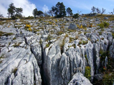 Beau lapiaz typique de la Chartreuse